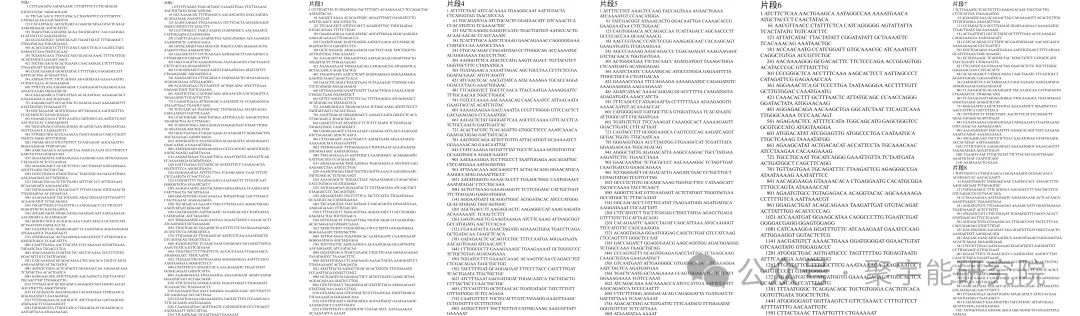 金日光教授:【《黄帝内经》所深藏的奥秘•之三十九】关于乙型流感病毒的紧急解读!(图2) 640.jpg