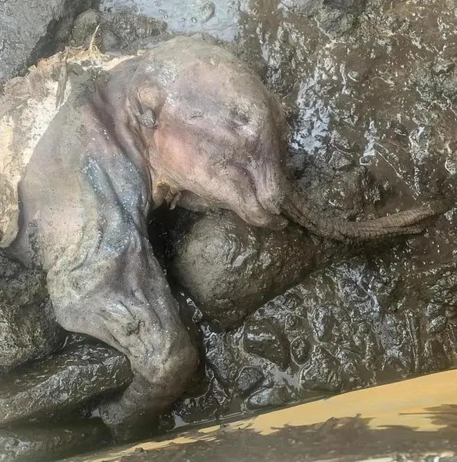 探索奇异地球:17张震撼图片揭示外星人、失落文明的神秘面纱(图5) 640.jpg