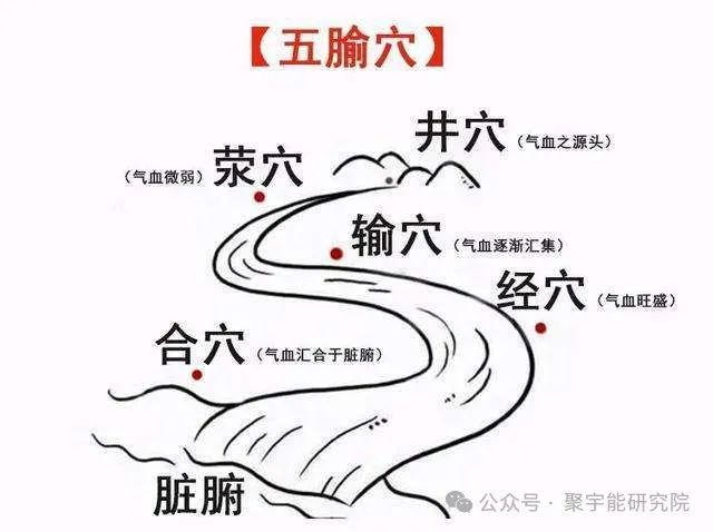 金日光教授:【《黄帝内经》所深藏的奥秘•之四十】有些群友问:穴位的维度是否可从<天地>两头看?(图2) 640.jpg