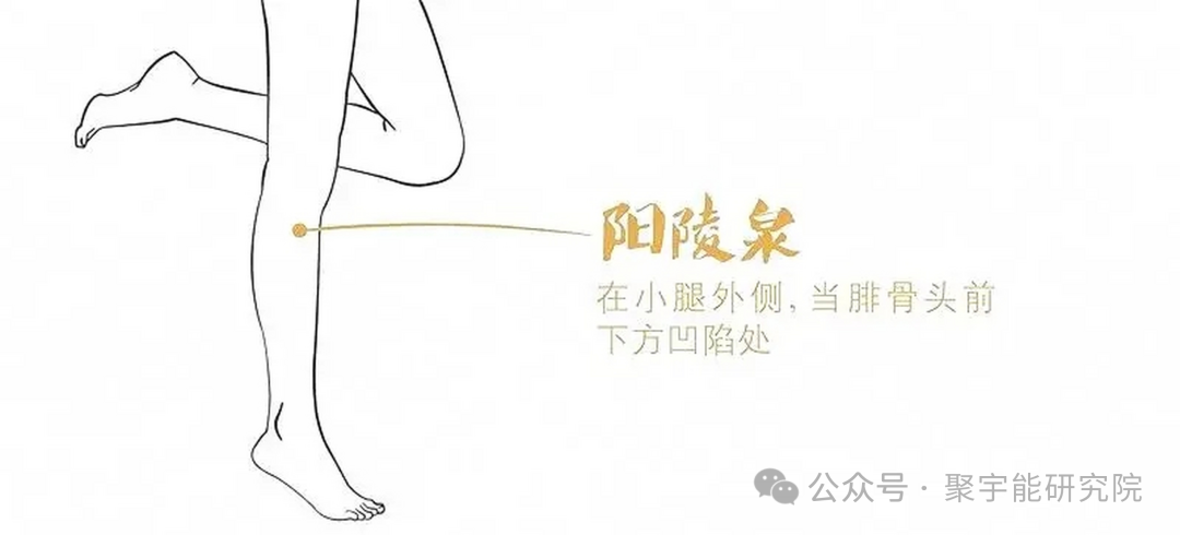 金日光教授:【《黄帝内经》所深藏的奥秘•之四十】有些群友问:穴位的维度是否可从<天地>两头看?(图10) 640.png