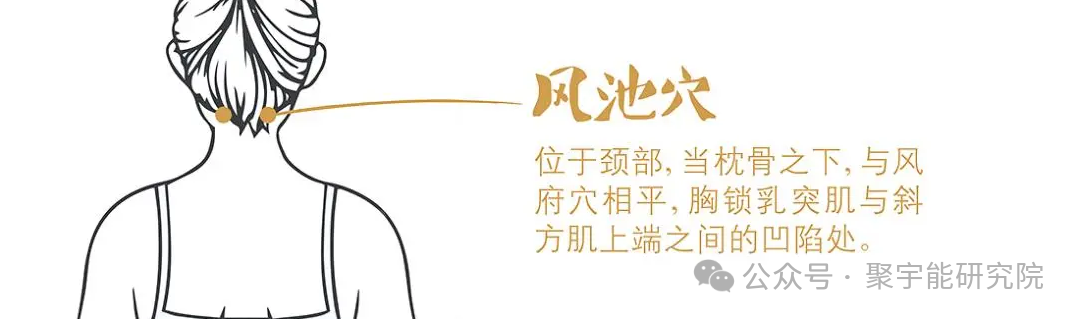 金日光教授:【《黄帝内经》所深藏的奥秘•之四十】有些群友问:穴位的维度是否可从<天地>两头看?(图12) 640.png