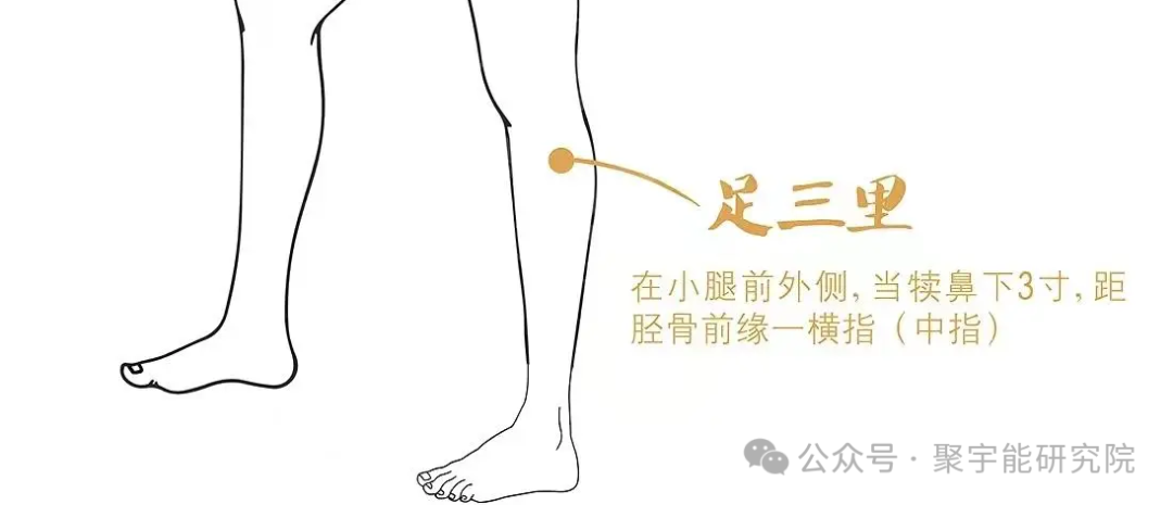 金日光教授:【《黄帝内经》所深藏的奥秘•之四十】有些群友问:穴位的维度是否可从<天地>两头看?(图13) 640.png