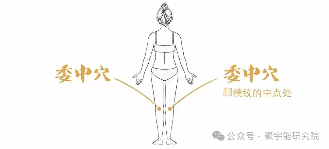 金日光教授:【《黄帝内经》所深藏的奥秘•之四十】有些群友问:穴位的维度是否可从<天地>两头看?(图14) 640.png