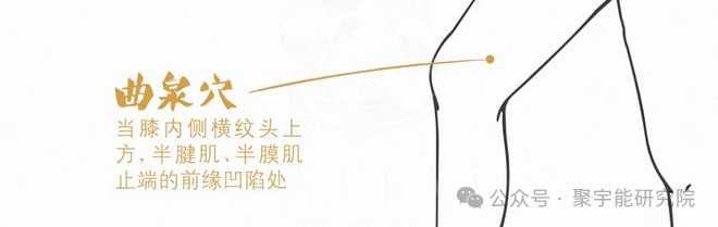 金日光教授:【《黄帝内经》所深藏的奥秘•之四十】有些群友问:穴位的维度是否可从<天地>两头看?(图15) 640.png