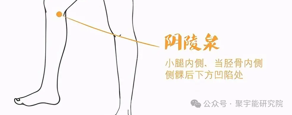 金日光教授:【《黄帝内经》所深藏的奥秘•之四十】有些群友问:穴位的维度是否可从<天地>两头看?(图18) 640.png