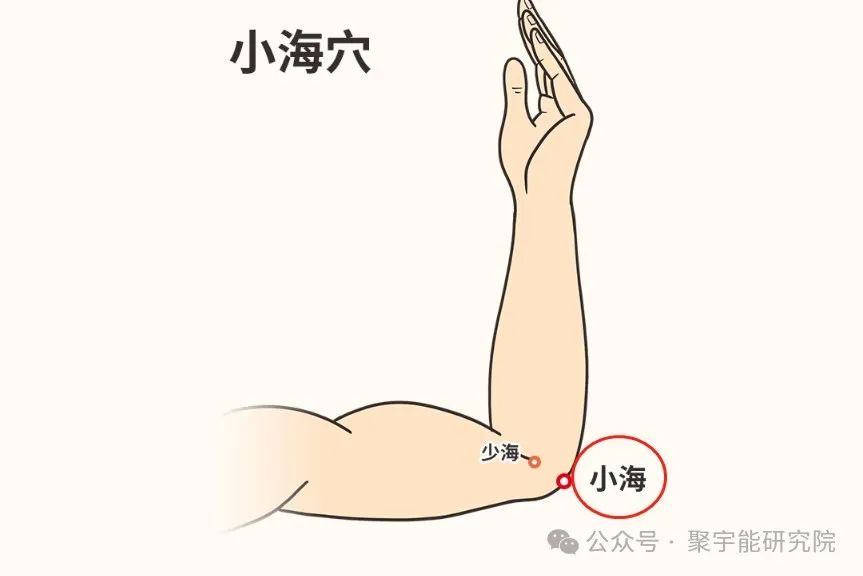 金日光教授:【《黄帝内经》所深藏的奥秘•之四十】有些群友问:穴位的维度是否可从<天地>两头看?(图22) 640.jpg