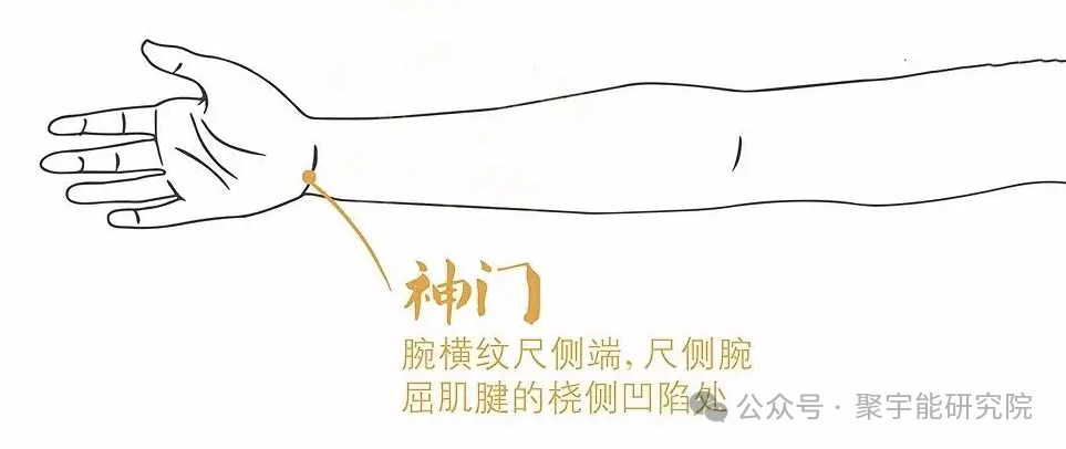 金日光教授:【《黄帝内经》所深藏的奥秘•之四十】有些群友问:穴位的维度是否可从<天地>两头看?(图25) 640.png