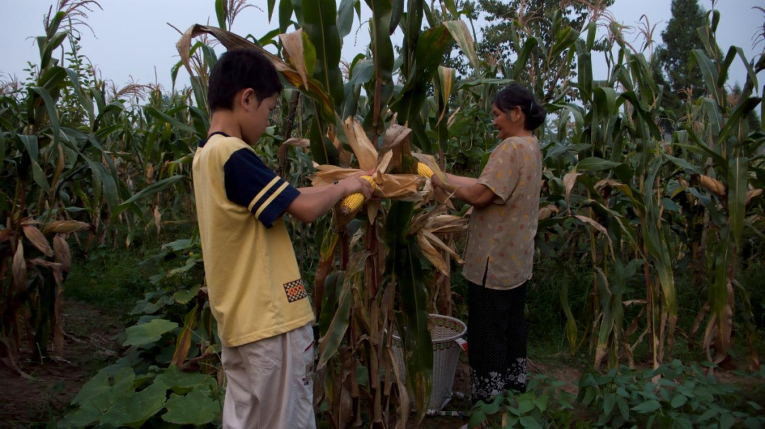 二本学生背后,她看到那些竭尽全力的家庭(图10) 640.png