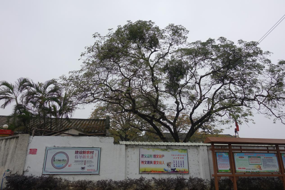 二本学生背后,她看到那些竭尽全力的家庭(图12) 640.png