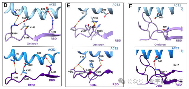 金日光教授:【《黄帝内经》所深藏的奥秘•之四十八】一些群友问,坚持喝山楂和黄芪茶水可与心血管病拜拜,是为什么?(图4) 640.png