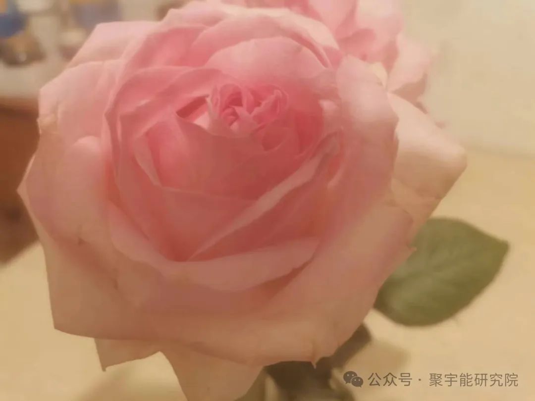 金日光教授:【《黄帝内经》所深藏的奥秘•之四十九】一位群友对聚宇能小金字塔,坐垫等通天气能很感兴趣,最近给我说了件意想不到的事(图3) 640.jpg