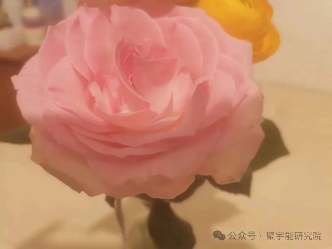 金日光教授:【《黄帝内经》所深藏的奥秘•之四十九】一位群友对聚宇能小金字塔,坐垫等通天气能很感兴趣,最近给我说了件意想不到的事(图2) 640.jpg