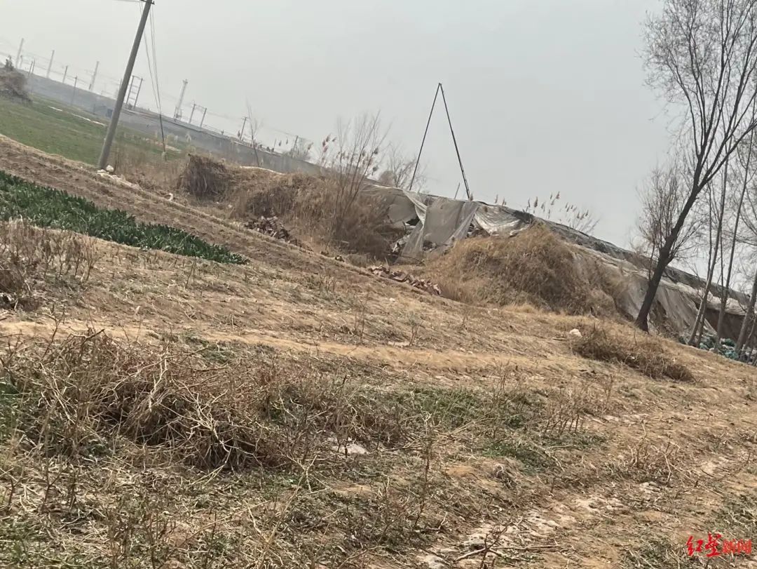 “比想象的还要残忍”!邯郸被害初中生已尸检,最新进展→(图1) 640.jpg