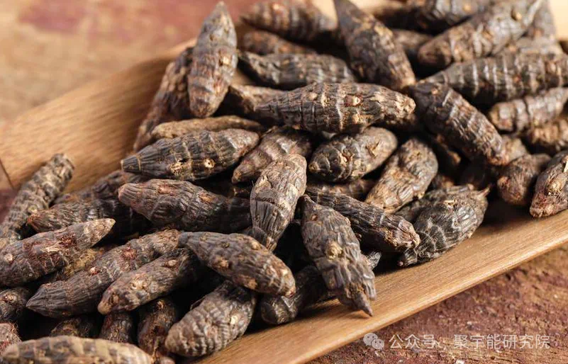 金日光教授:【《黄帝内经》所深藏的奥秘•之五十五】洗胆的药方有道理吗?(图9) 12.png