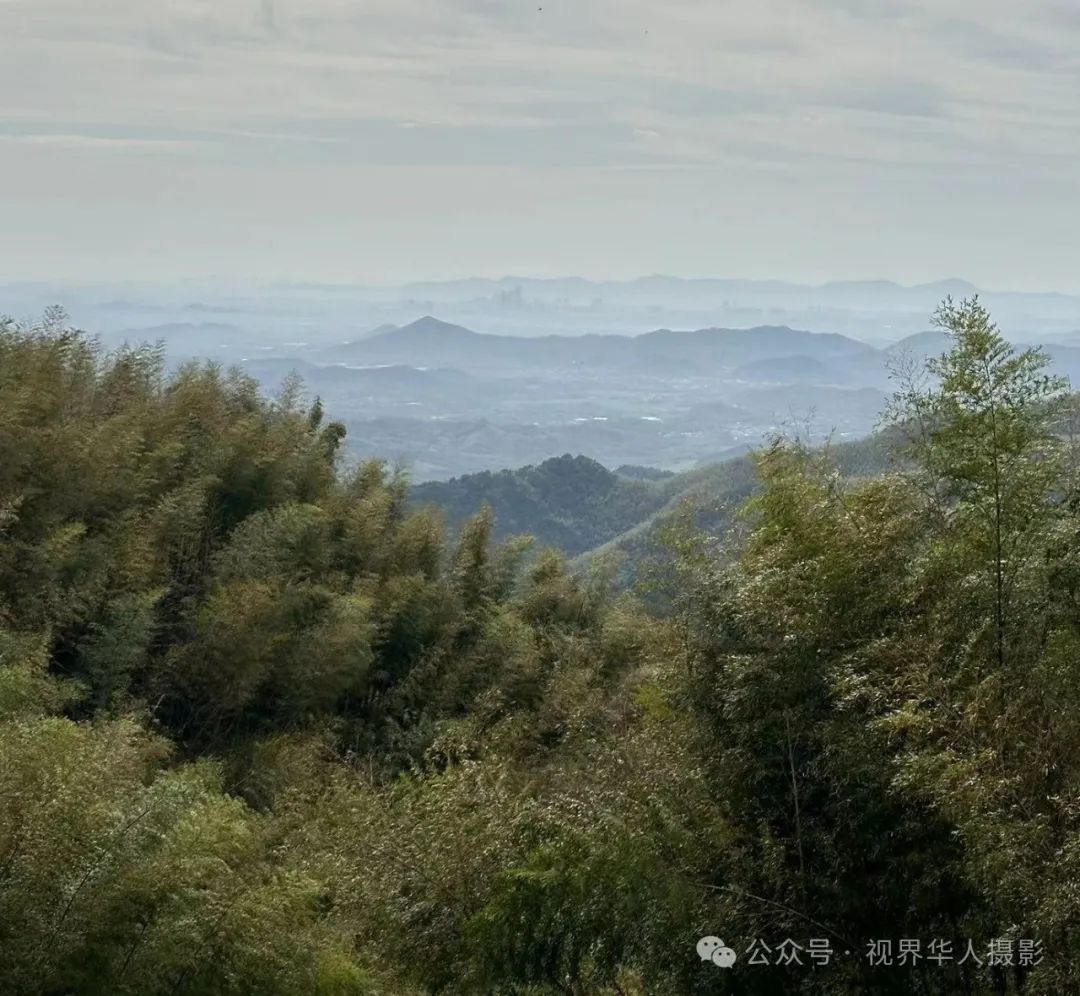 岑国荣|千年古刹径山寺与非遗之光茶文化(图8) 640.jpg