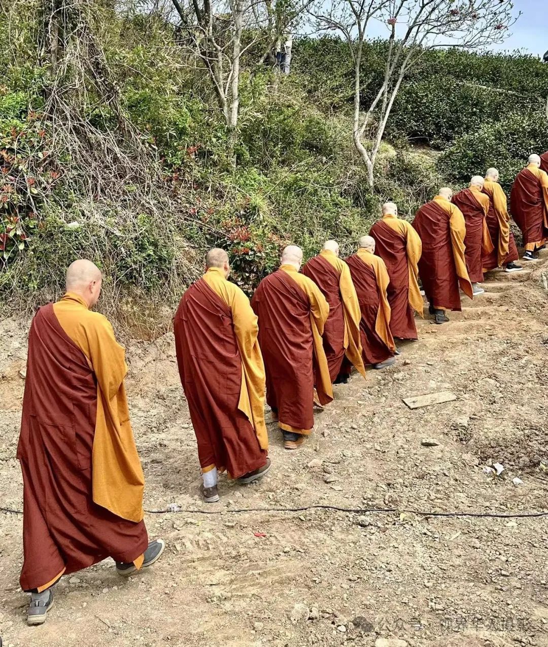 岑国荣|千年古刹径山寺与非遗之光茶文化(图16) 640.jpg