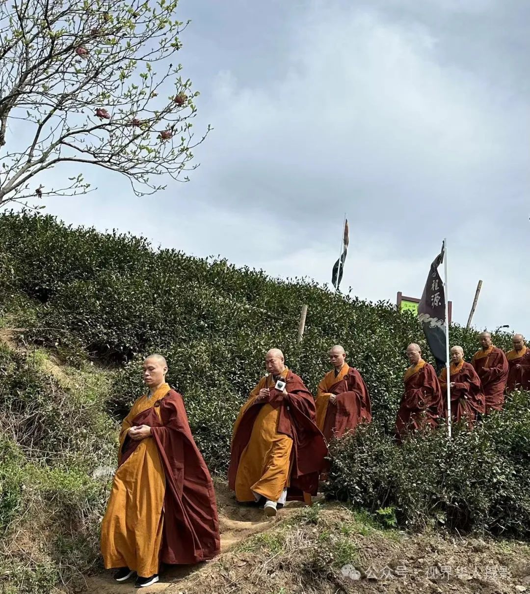 岑国荣|千年古刹径山寺与非遗之光茶文化(图17) 640.jpg