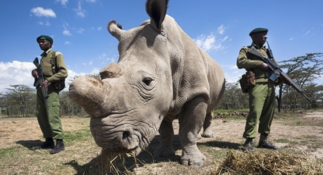 22个鲜为人知的有趣事实,香蕉竟然具有放射性!(图6) 640.png