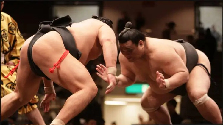 22个鲜为人知的有趣事实,香蕉竟然具有放射性!(图9) 640.png