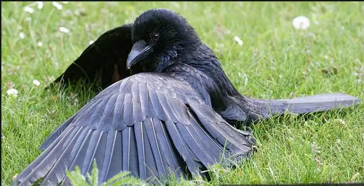 22个鲜为人知的有趣事实,香蕉竟然具有放射性!(图11) 640.png