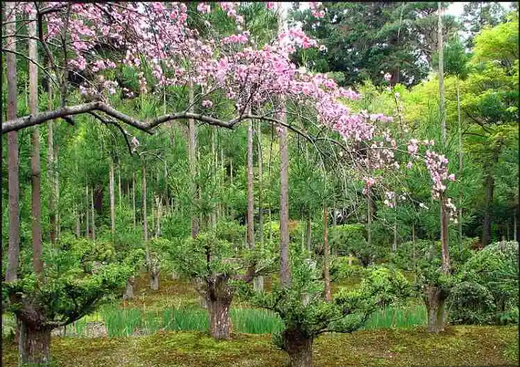 22个鲜为人知的有趣事实,香蕉竟然具有放射性!(图20) 640.png