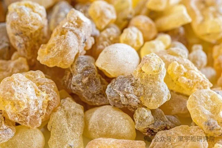 金日光教授:【《黄帝内经》所深藏的奥秘•之六十】有些群友问群里正在传的张锡纯的四味药为何能<通则不痛>?(图4) 4.jpg