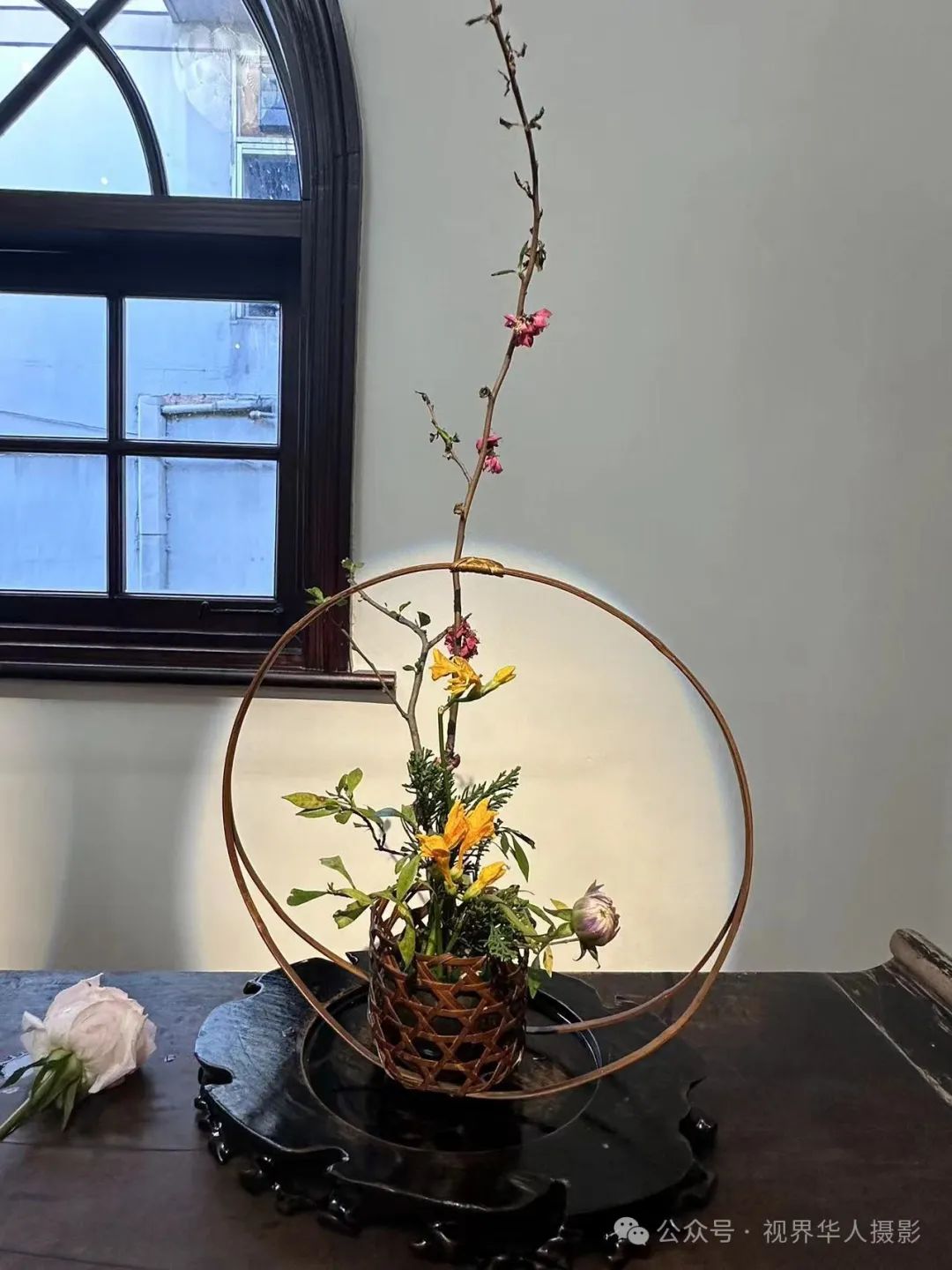 岑国荣|穿越时空的插花艺术之旅(图22) 640.jpg