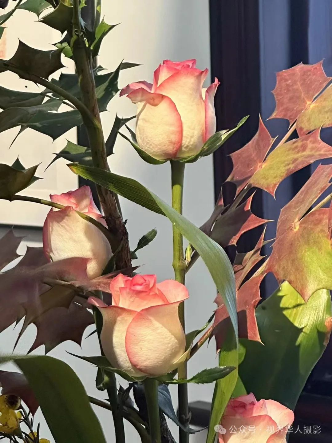 岑国荣|穿越时空的插花艺术之旅(图24) 640.jpg