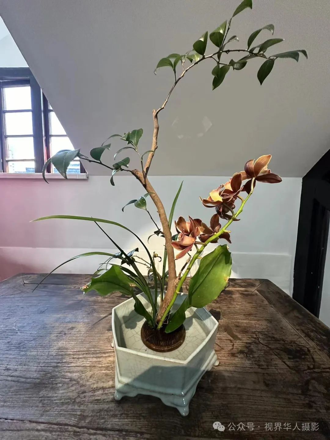 岑国荣|穿越时空的插花艺术之旅(图29) 640.jpg