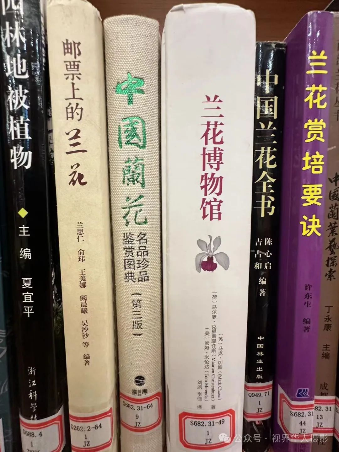 岑国荣|穿越时空的插花艺术之旅(图39) 640.jpg