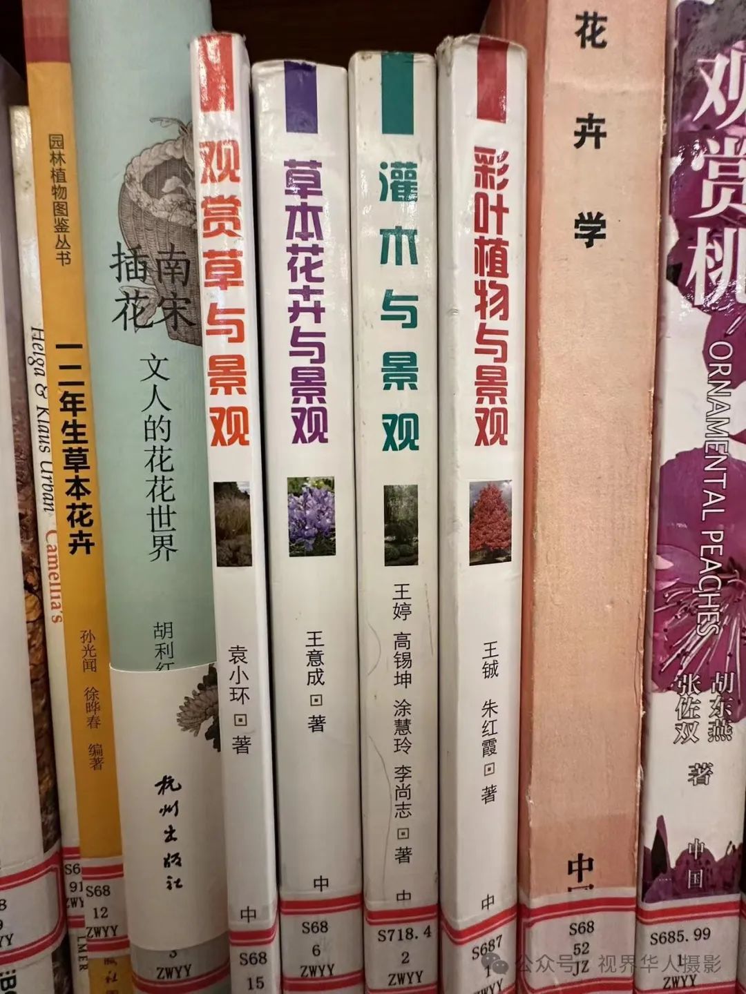 岑国荣|穿越时空的插花艺术之旅(图45) 640.jpg