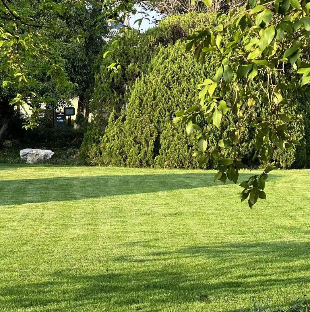 岑国荣|探寻西湖春晓的新视角(图1) 640.jpg