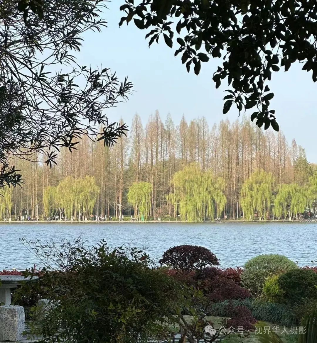 岑国荣|探寻西湖春晓的新视角(图4) 640.jpg