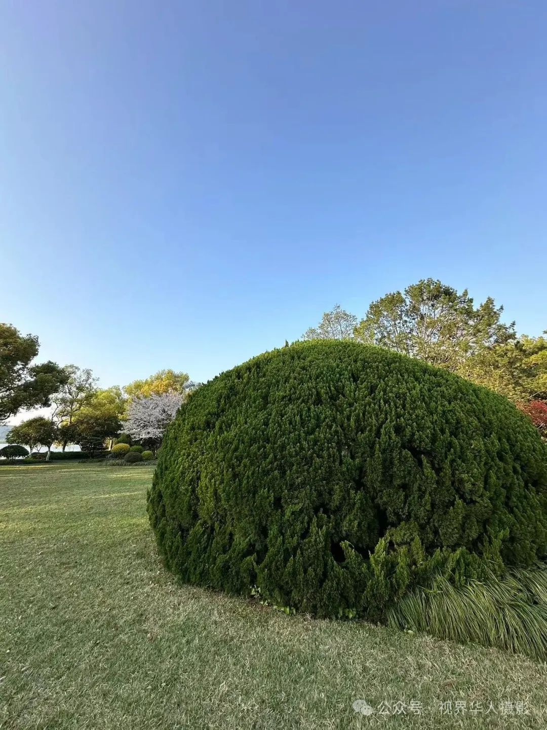 岑国荣|探寻西湖春晓的新视角(图6) 640.jpg