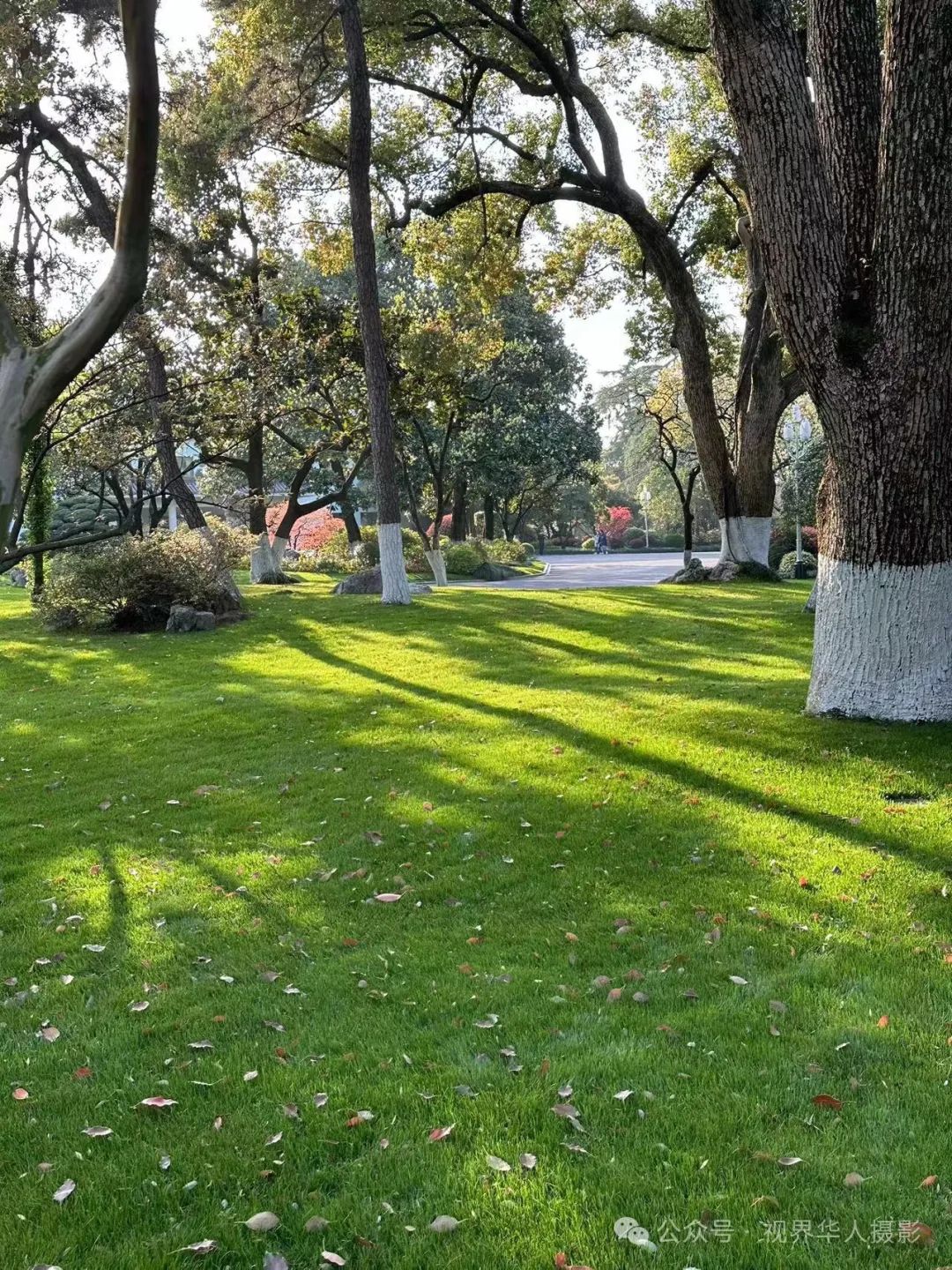 岑国荣|探寻西湖春晓的新视角(图7) 640.jpg