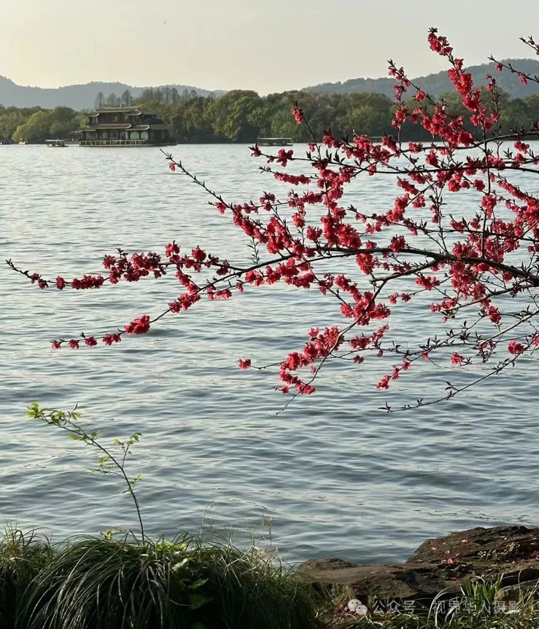 岑国荣|探寻西湖春晓的新视角(图12) 640.jpg