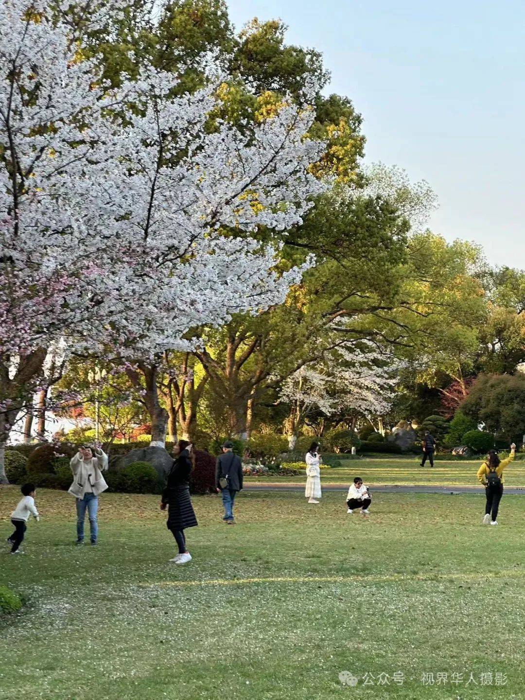 岑国荣|探寻西湖春晓的新视角(图16) 640.jpg