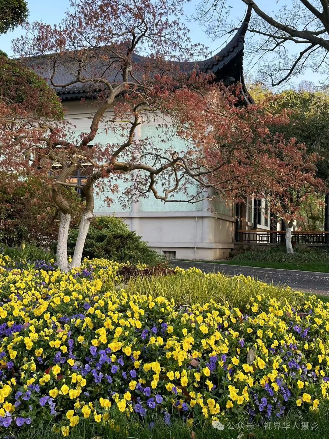 岑国荣|探寻西湖春晓的新视角(图17) 640.jpg