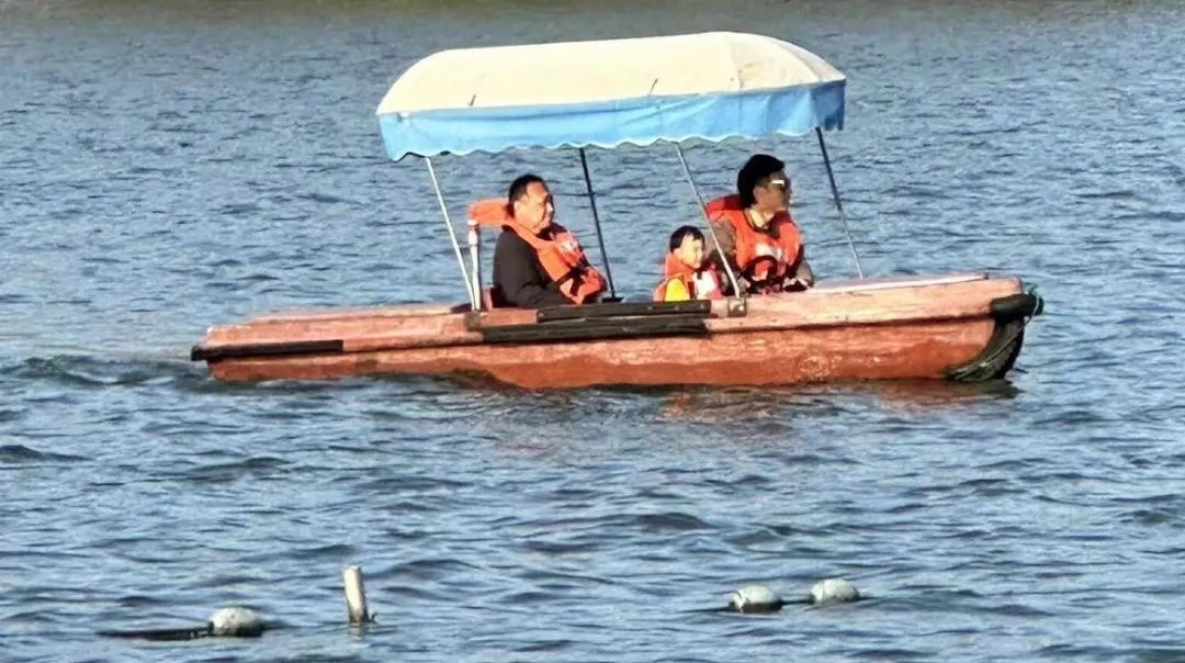 岑国荣|探寻西湖春晓的新视角(图18) 640.jpg