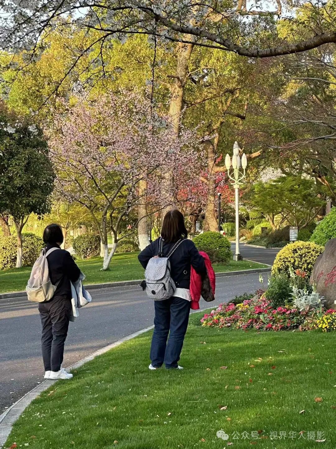 岑国荣|探寻西湖春晓的新视角(图24) 640.jpg