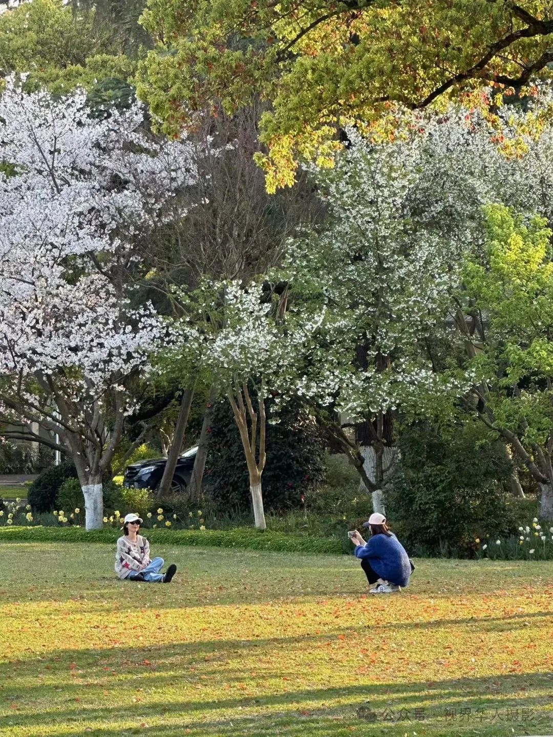 岑国荣|探寻西湖春晓的新视角(图25) 640.jpg