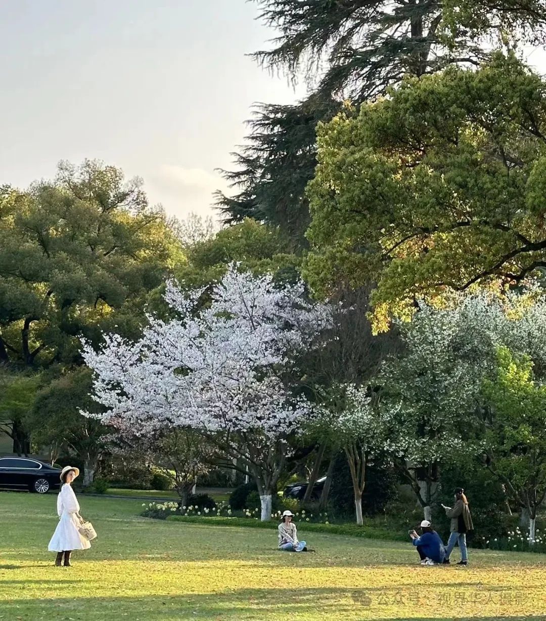 岑国荣|探寻西湖春晓的新视角(图26) 640.jpg