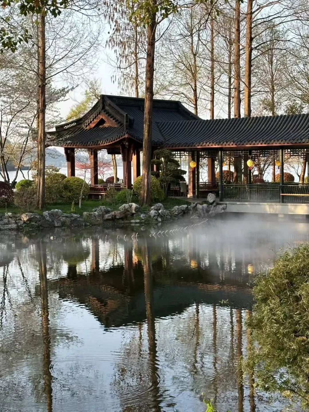 岑国荣|探寻西湖春晓的新视角(图36) 640.jpg