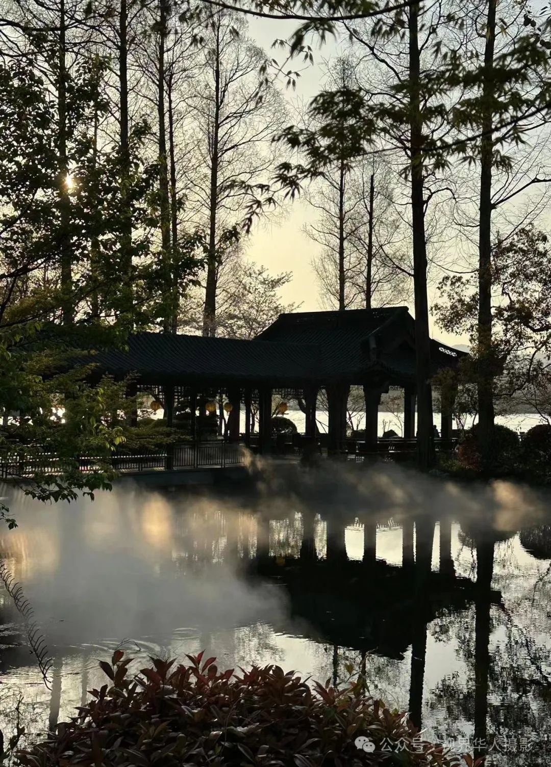 岑国荣|探寻西湖春晓的新视角(图38) 640.jpg