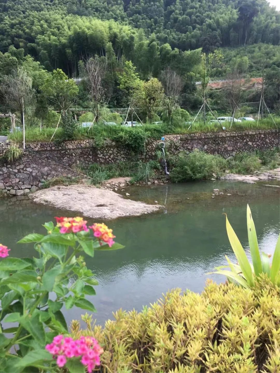 岑国荣|桐庐:美丽乡村的诗意画卷(图5) 640.jpg