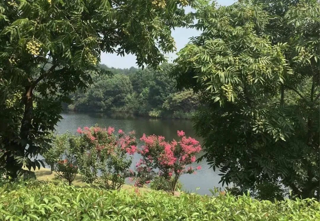 岑国荣|桐庐:美丽乡村的诗意画卷(图14) 640.jpg