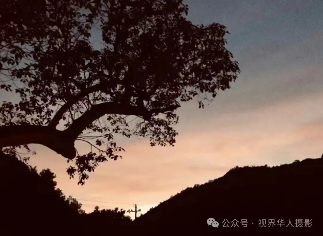 岑国荣|桐庐:美丽乡村的诗意画卷(图30) 640.jpg