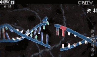 金日光教授:【《黄帝内经》所深藏的奥秘•之七十四】有些群友问我高能态生命动力源液对生命最大作用是什么?(图27) 640.gif