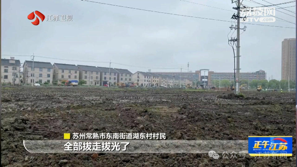 耗资千万元建成公园,使用不到五个月就拆了?当地通报(图5) 640.png