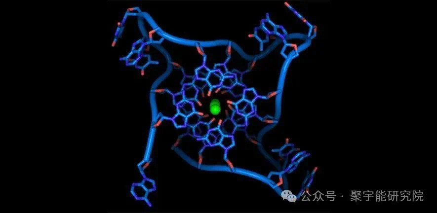 金日光教授:【《黄帝内经》所深藏的奥秘•之七十五】有些群友问我,人及各种动物的寿命究竟由什么决定?(图8) 9.jpg